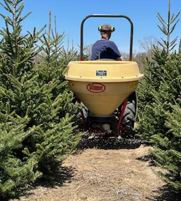 Fertilizer being applied to Christmas trees.